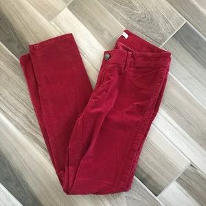 CAbi red corduroy pants